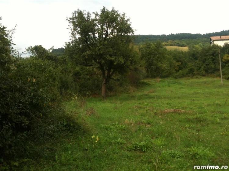 Teren de 14000 mp, în Central