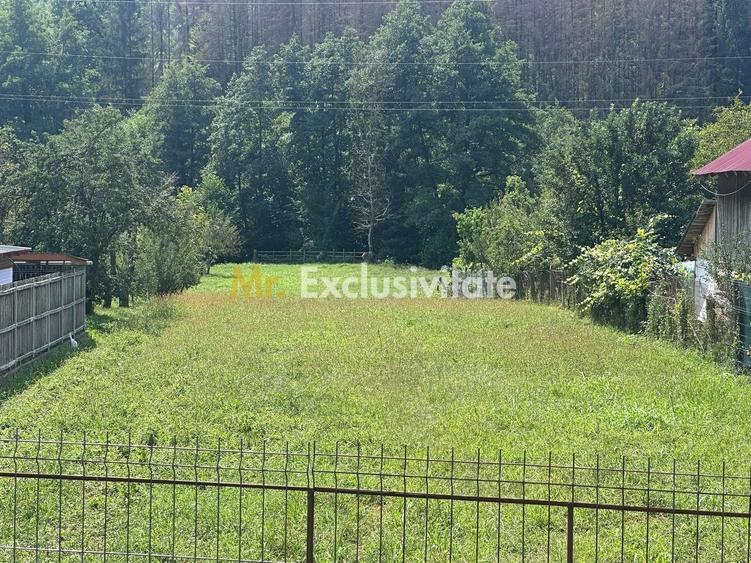 Teren Construcții intravilan de 1640 mp, în Băbana