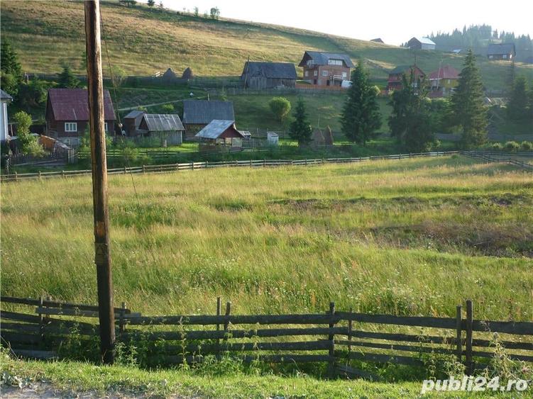 Teren de 3000 mp, în Poiana Horea