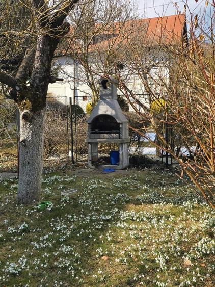Casă cu 4 camere cu Teren 500 Mp în Central