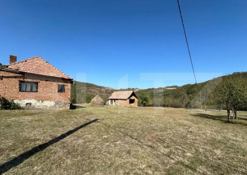 Teren intravilan de vanzare 14000mp,ideal pentru investitie, - 6