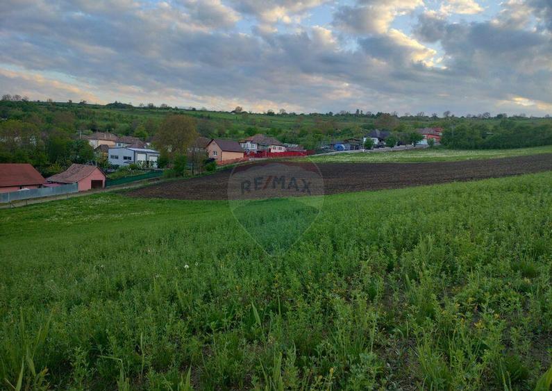 Teren intravilan Tarnaveni - 5