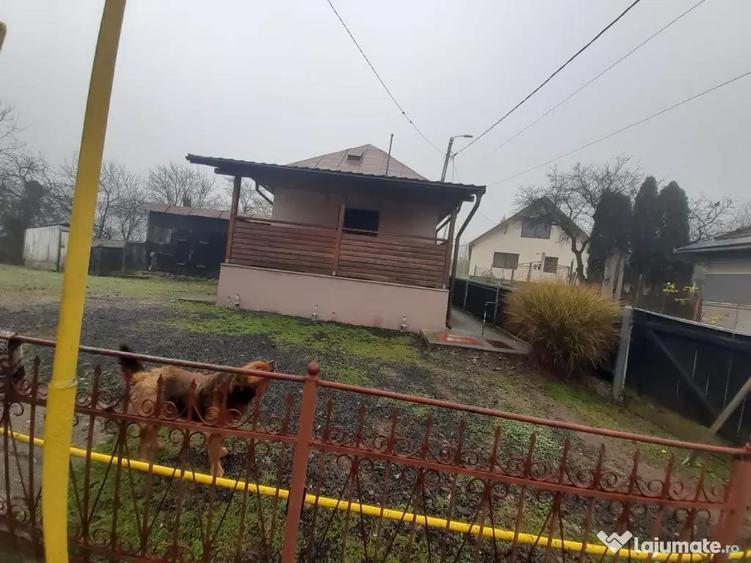 Baia Sprie, casa caramida, 9,4 ari teren - 2