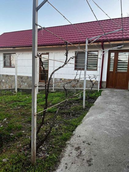 imobiliare vanzare - 7