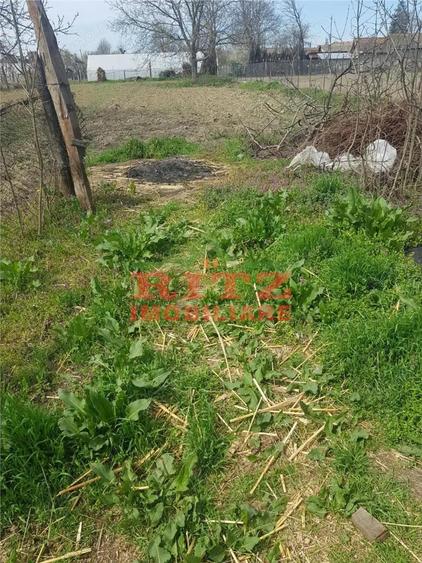 Nou! Casa+teren 1110mp, Com. Falcoiu! - 6