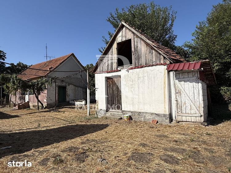 Casă cu 3 camere cu Teren 1995 Mp în Tileagd