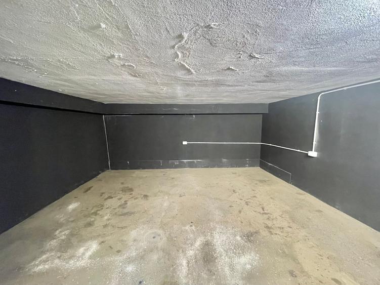 Spațiu industrial  – Zona Victoriei – Str. Teodosie Rudeanu nr. 41, - 11