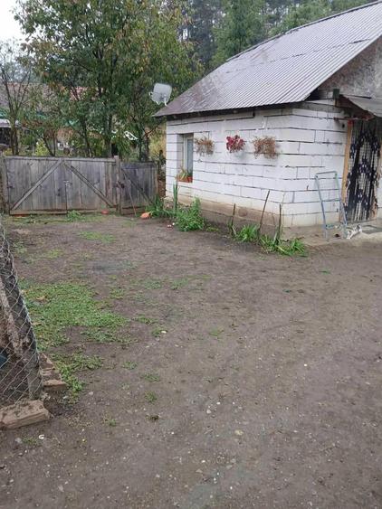 Oportunitate in Saschiz! Casa 67mp + construc?ie secundara | 4 ari teren | Poten?ial extindere - 7