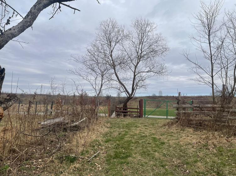 Casa veche cu sura zona linistita - 9