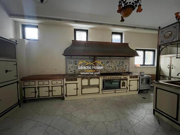 Vila 20 camere Dorobanti || Guvern || Gradina - 12