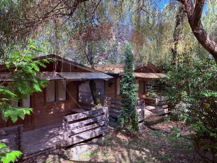 Ansamblu de 7 Căsuțe de Vacanță, Ocna Șugatag - 2