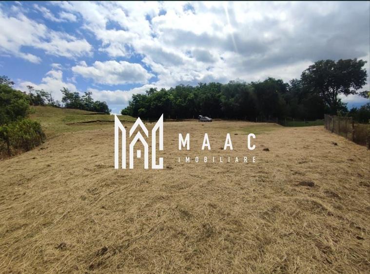 Teren intravilan | 3860 mp în Sărata | ideal pensiune sau resort - 1