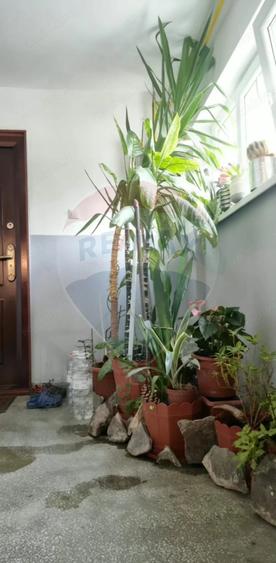 Apartament cu 3 camere semidecomandat în Sud