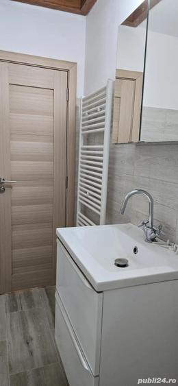 CI615 Apartament 1 camera,la casa,Badea Cartan - 8