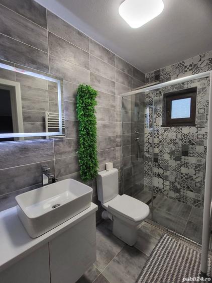 Vand casa P+M zona Ostroveni-Dem Radulescu - 6