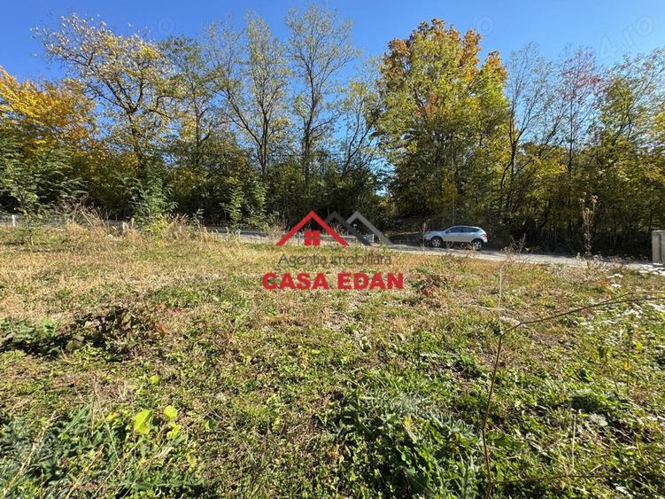 Teren in Cornu,Ph,500m--26.500e - 8