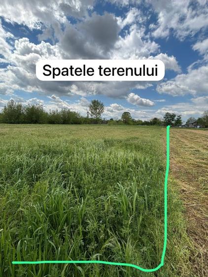  Teren intravilan 3743 mp Frunzaru – asfalt, apă și curent la poartă - 6