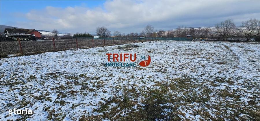 Teren Intravilan Construibil in Mice?ti, Alba Iulia - 2