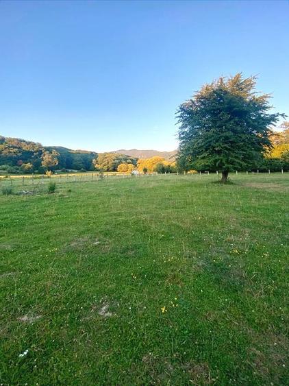 Teren superb Rasnov cu priveliste si rau - 6