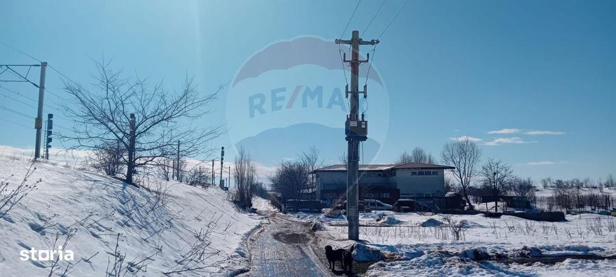 Teren 9,000mp Buftea / Strada Randunelelor - 3