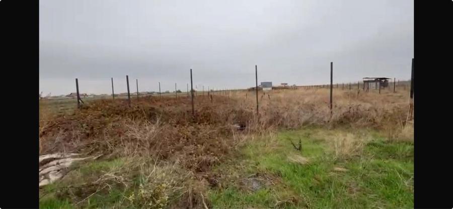 Teren 1845 mp Com Berceni - 8