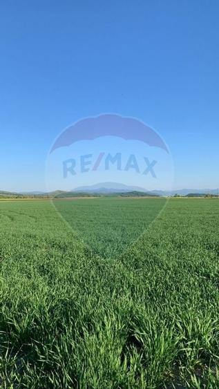 PUZ aprobat | Complex Agroturistic, Unități de Cazare, Restaurant - 10