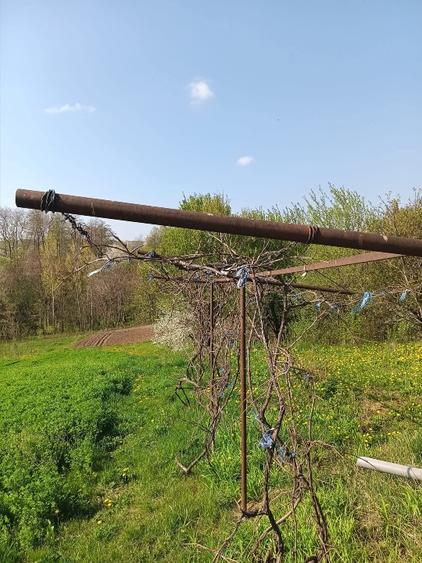 Vând casă la țară  - 7