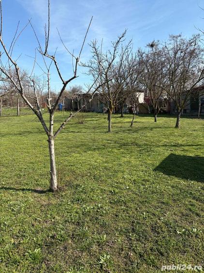 Casa de vanzare la Dridu Ialomita - 9