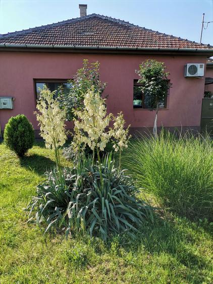 Vand casa in Dumbravita - 6