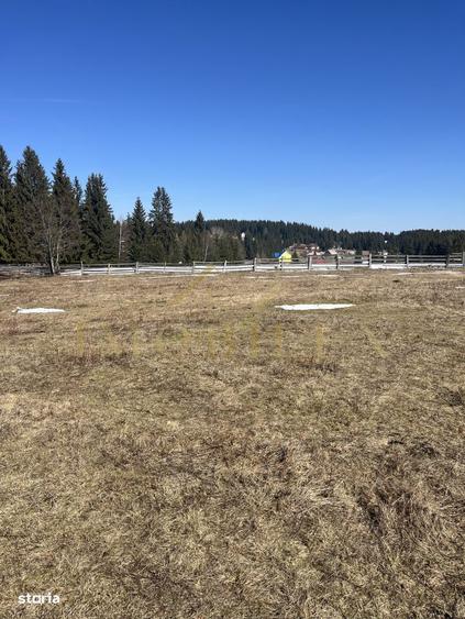 Teren Intravilan de 1000 mp , zona centrala , Copcea , Marisel - 4