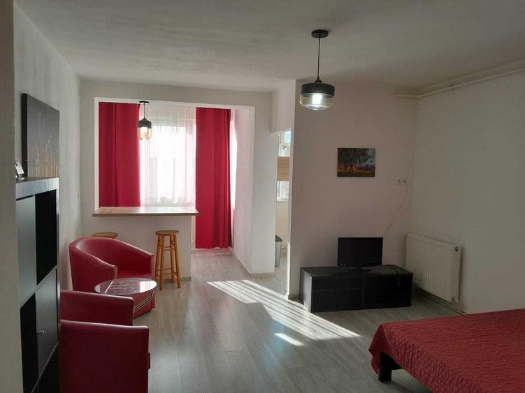 APARTAMENT 1 CAMERA CENTRAL | HOTEL IBIS - 1