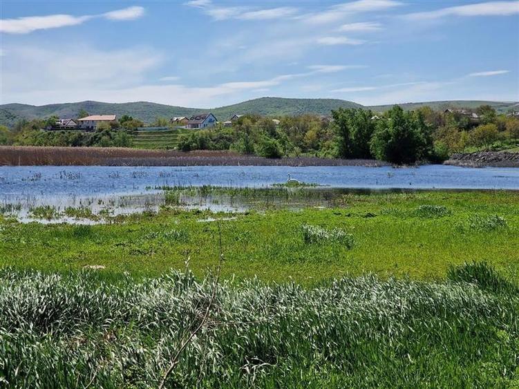 Teren cu deschidere la lac de vanzare in localitatea Somova Tulcea - 7
