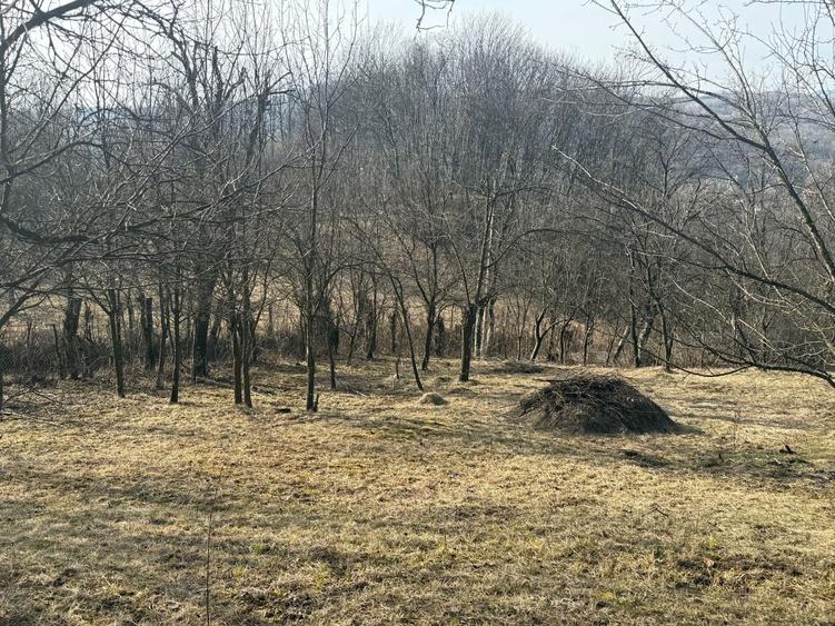 Teren intravilan 2788 mp deschidere 55 ml cu vedere panoramica ! - 3