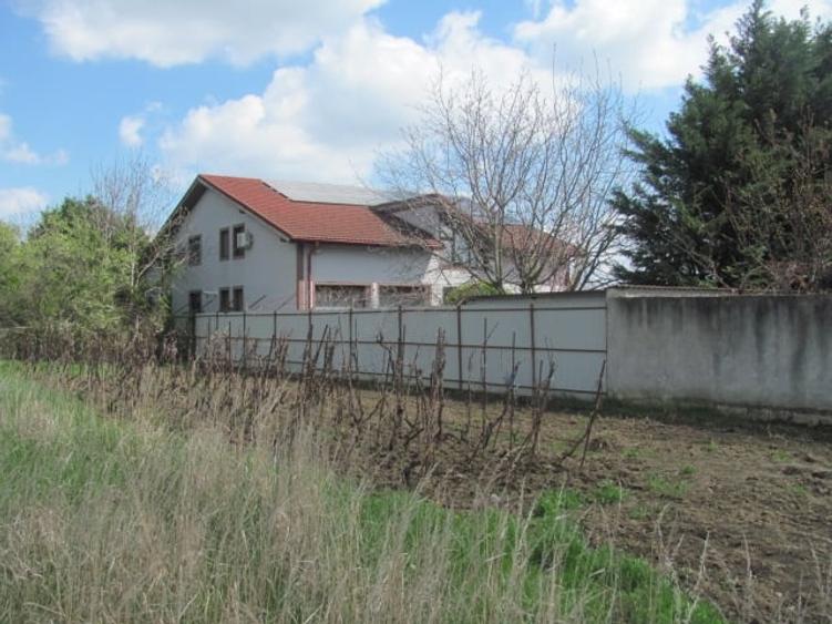 Cornetu - Lalelelor, Stradal - 1