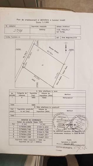 Teren 5000 mp Varteju - Magurele - 4