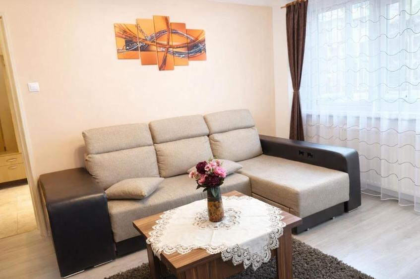 🏡 Apartament 2 camere ETAJ 1,  Zona Garii - 4