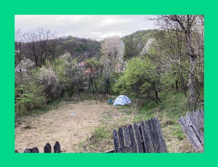 DOMENIU EXCLUSIVIST Baile Govora: 2500 mp cu Helesteu, Parau, Padure si Utilitati Ideal Pensiune / Retreat - 6