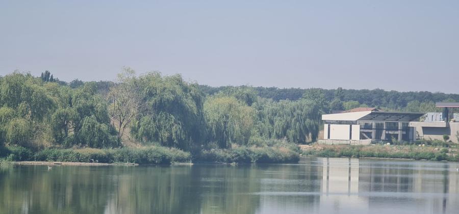 Teren Corbeanca Tamasi vsv de Paradisul verde 16000 mp deschidere lac - 11