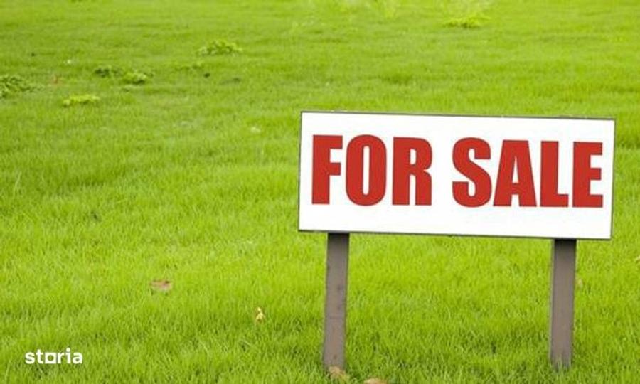 Teren langa padure, 4000 M, Padureni - 1