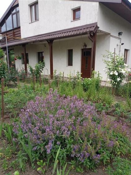 Bacau ,  Vila, la 5 minute de Centrul Orasului - 3