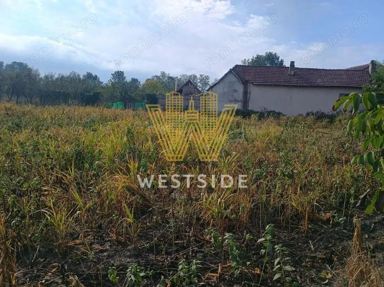 Teren de vanzare, in Ghertenis, Berzovia - 3