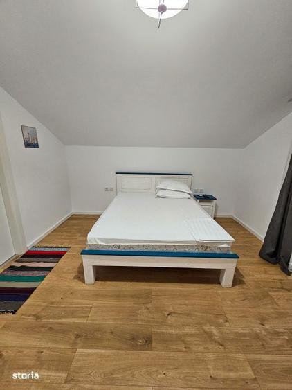 Casa de vacanta sau afacere profitabila? Delta Dunarii Bratul Sulina - 14