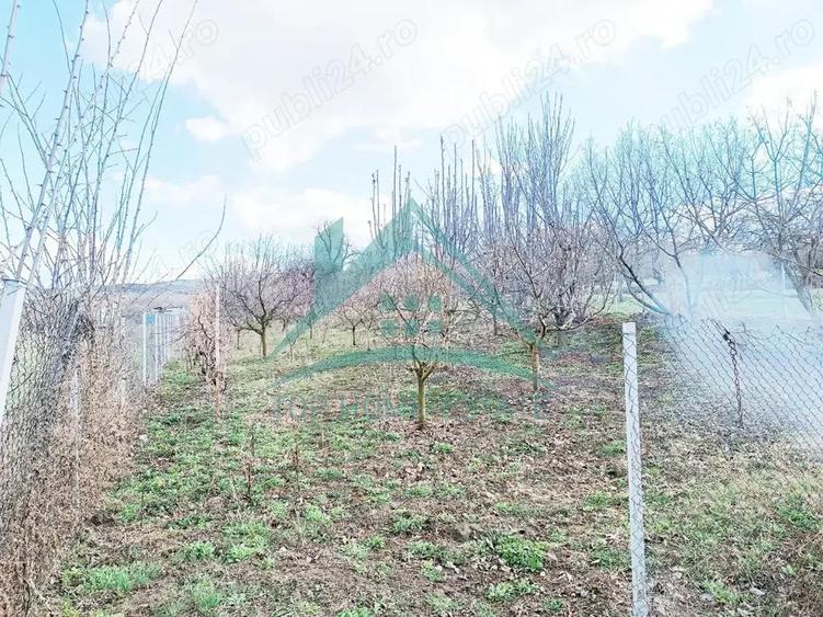 Teren intravilan de vanzare, in satul Pata! - 4