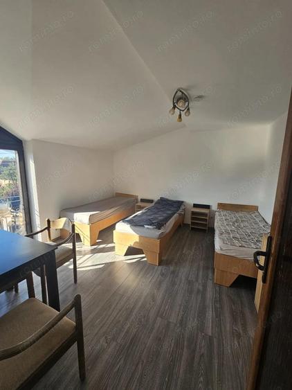 Proprietate speciala Dumbravita - casa individuala !! - 5