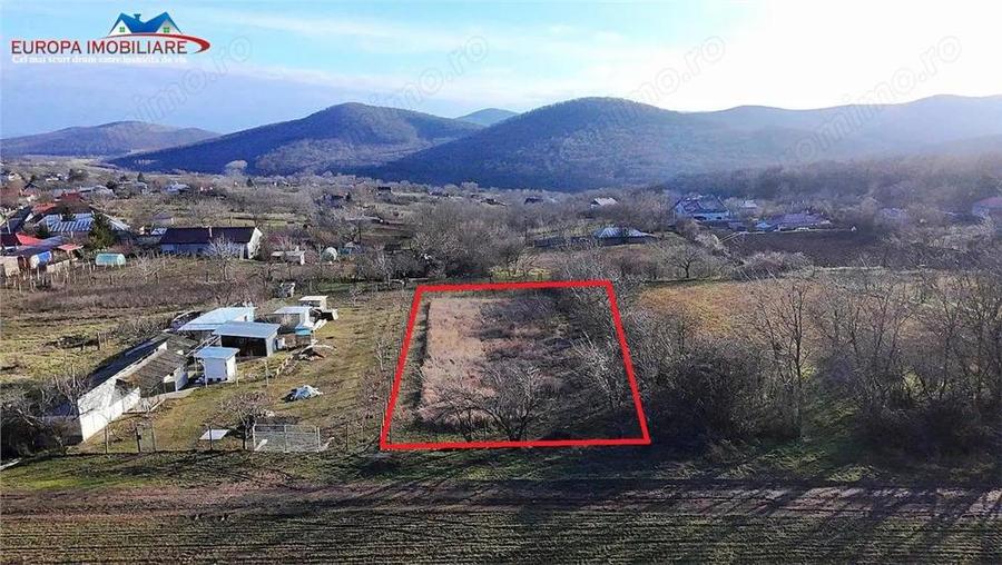 Teren intravilan de vanzare in localitatea Telita-jud.Tulcea - 3