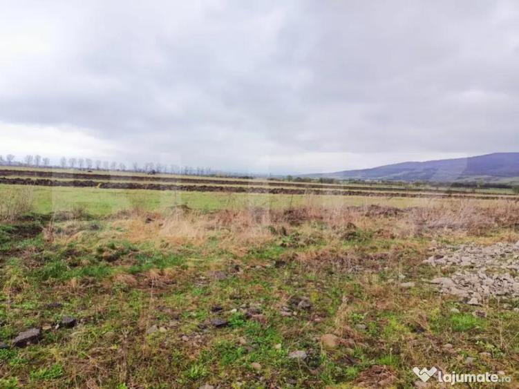 Teren 10 ari Zona Aerodrom | Zona in dezvoltare | Far - 3