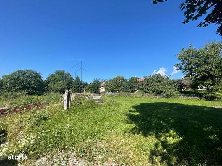 Teren Moieciu de Jos - 6