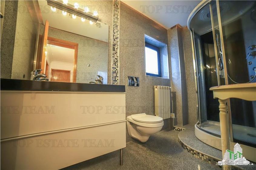 Vila pretabila rezidenta/office Iancu Nicolae - 12