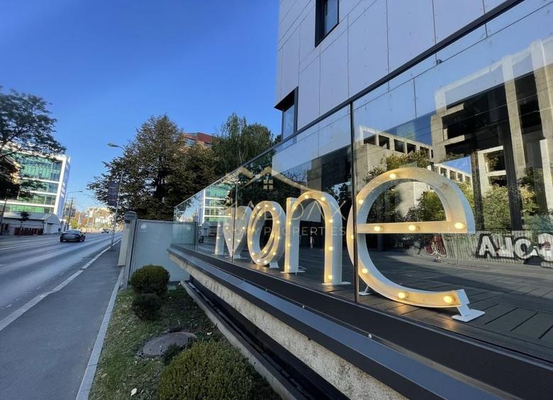 Apartament 2 camere*****LUX//ONE Herastrau Park - 26