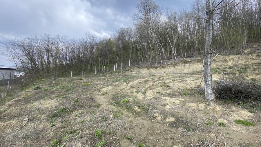 Teren intravilan, S= 1400 mp, Stefanesti, Arges - idealimob.ro - 2